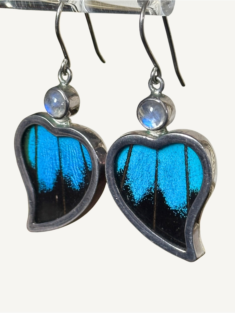 Real Butterfly Wing Sterling Silver & Rainbow Moonstone Earrings